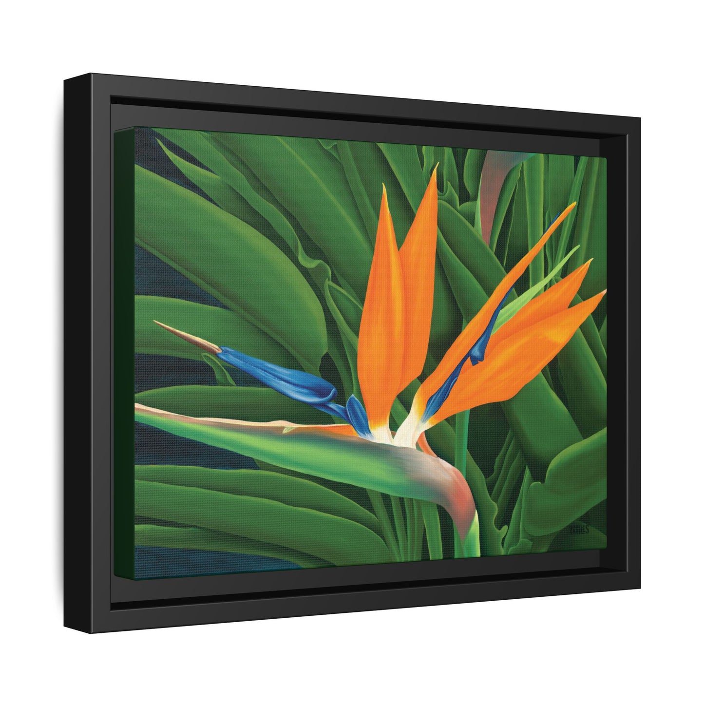 Bird Of Paradise — Framed Canvas with a matte finish, 1.75" depth