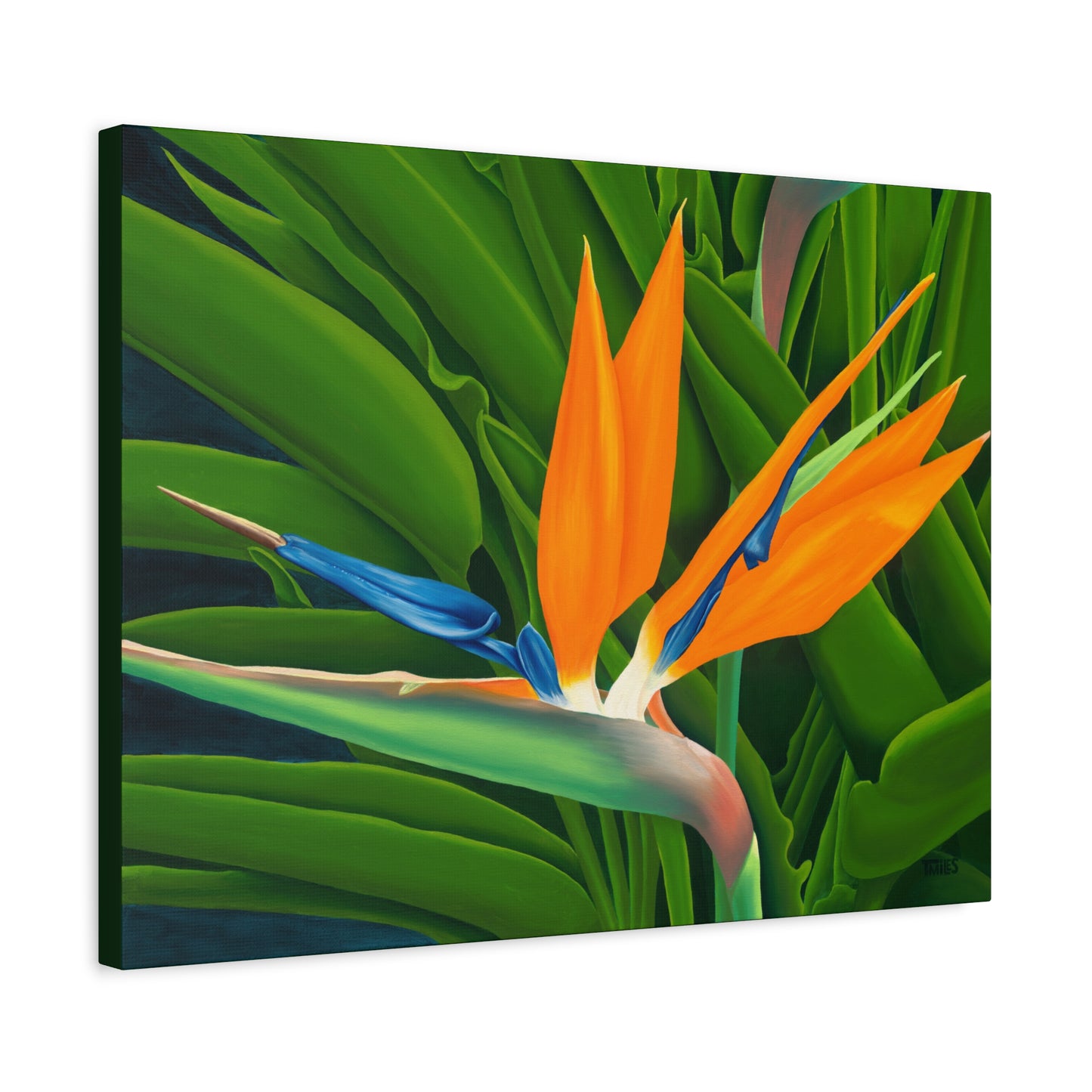 Bird of Paradise — Unframed, Matte Canvas, Stretched, 1.25" depth