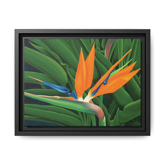 Bird Of Paradise  —  Framed Canvas with a matte finish, 1.75" depth