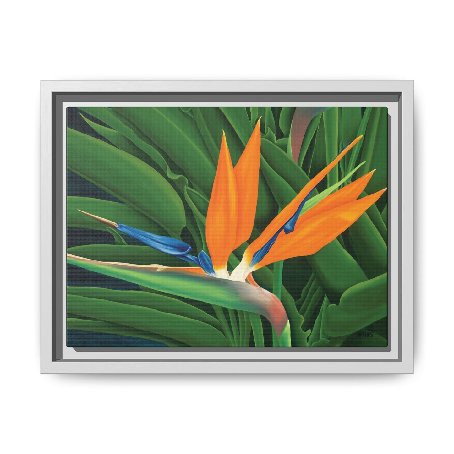 Bird Of Paradise  —  Framed Canvas with a matte finish, 1.75" depth
