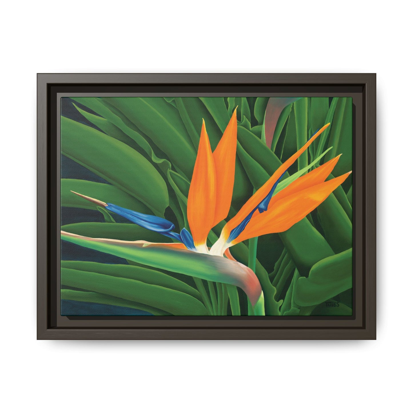 Bird Of Paradise  —  Framed Canvas with a matte finish, 1.75" depth