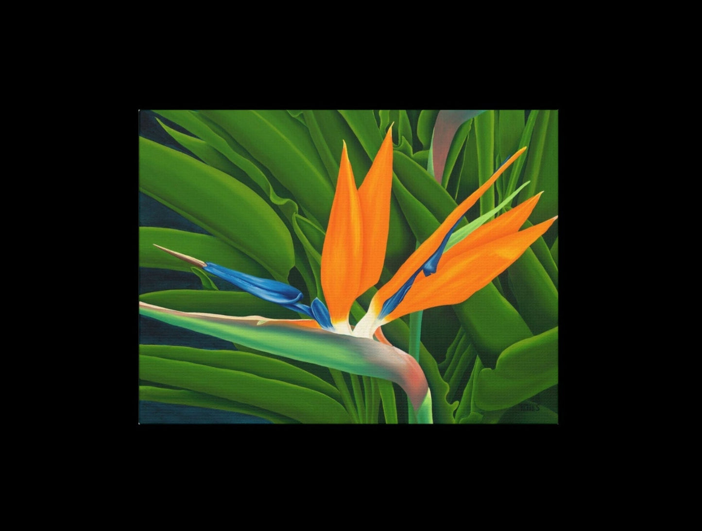 Tropical flower with orange petals and green leaves on a white background