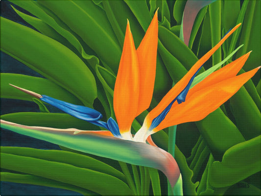 Tropical flower with orange petals and green leaves on a white background