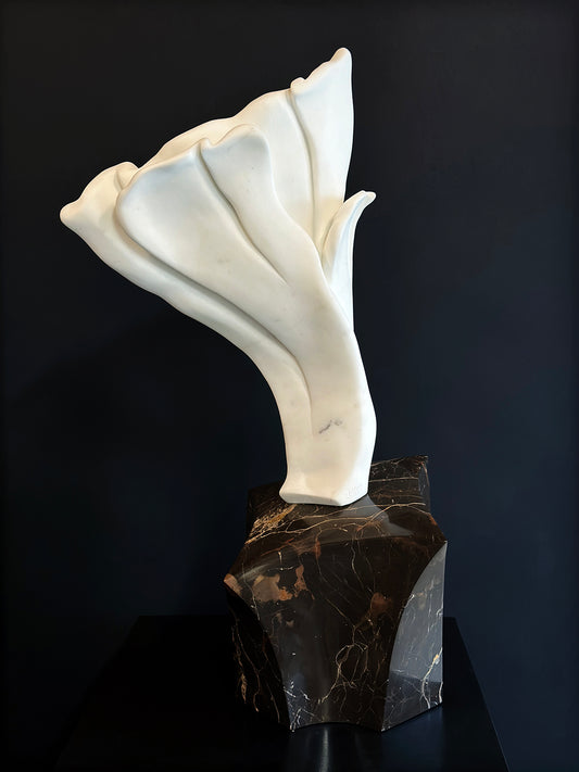 Petals