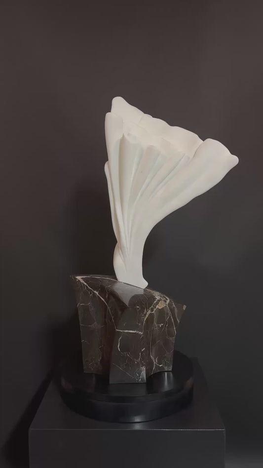 Petals
