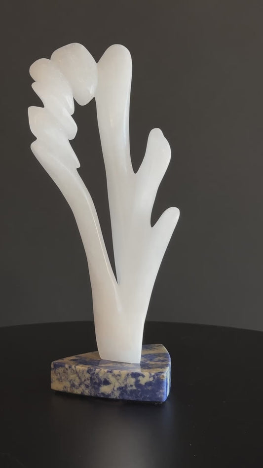 Coral